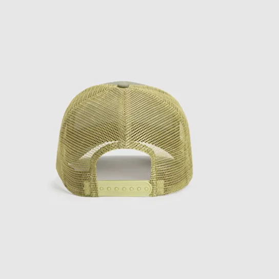 BASIC CT CAP SAGE
