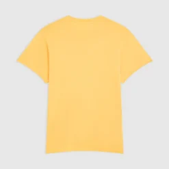 WASH EDGE GOLDEN
