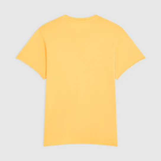 WASH EDGE GOLDEN